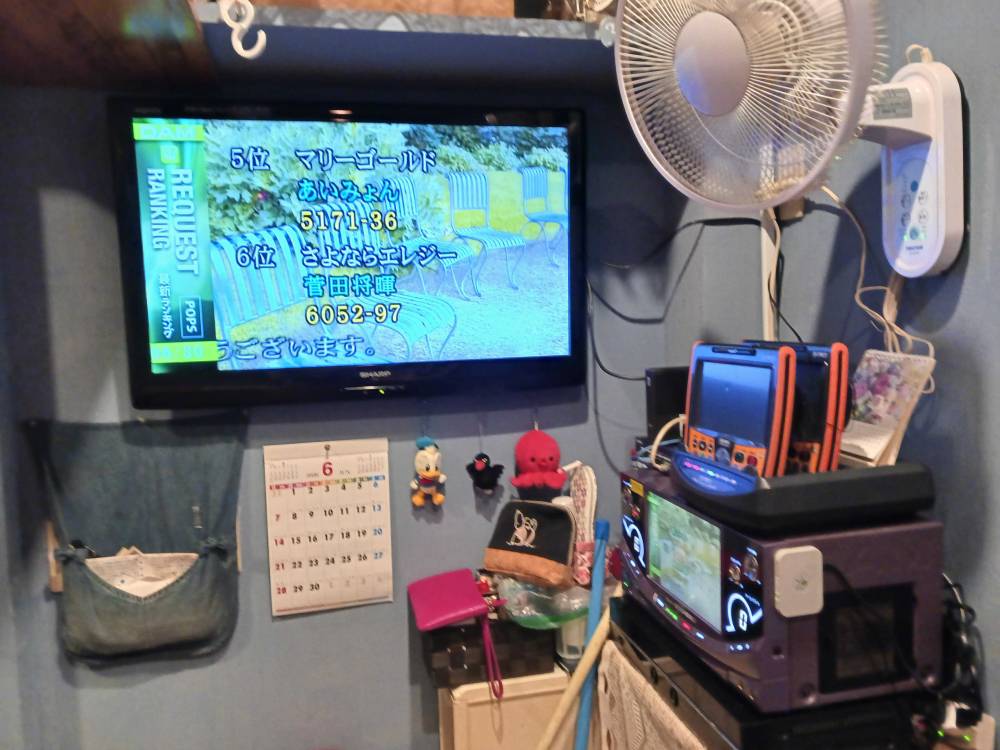 奈良県奈良市の居酒屋でのカラオケ設置写真2：つまみんぐPetiteR様